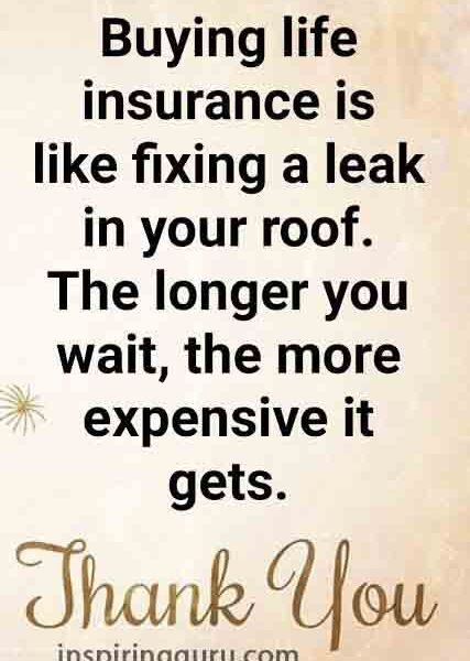 Insurance is like fixing a leak
