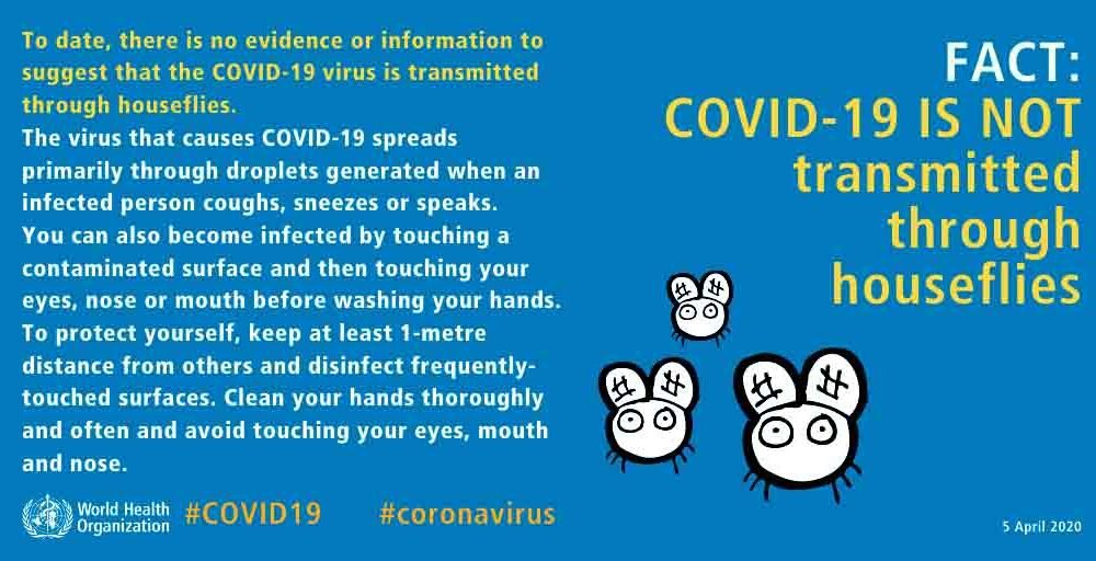 COVID-19 is NOT transmitted through houseflies