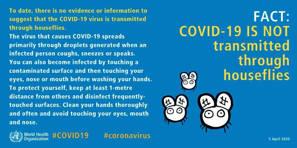 COVID-19 is NOT transmitted through houseflies
