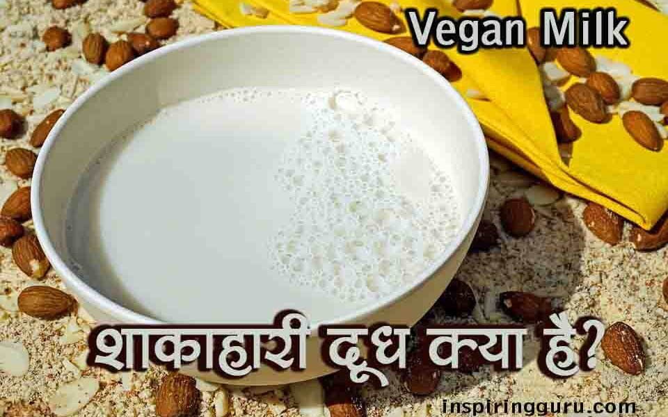 what is vegan milk