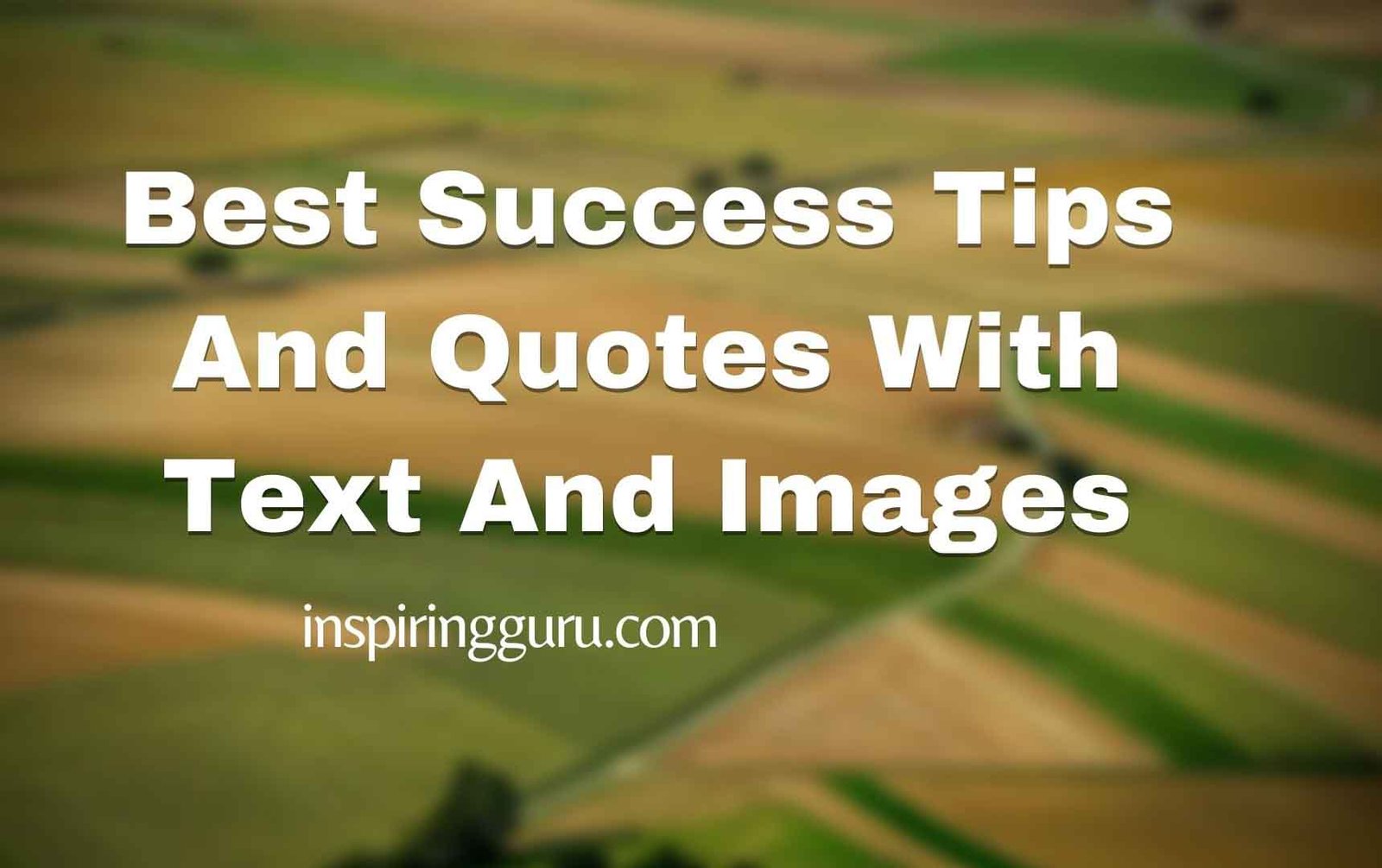 success tips quotes