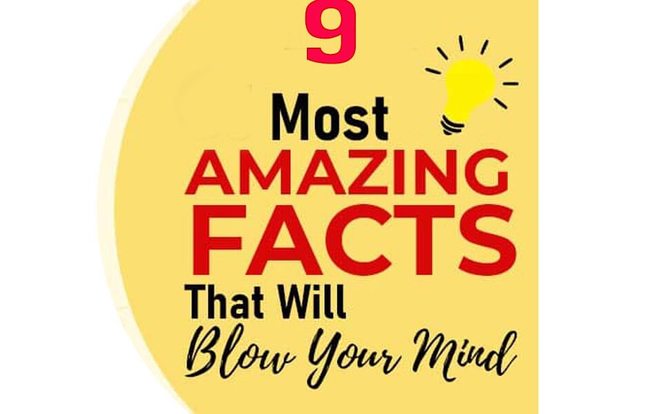 amazing facts about world